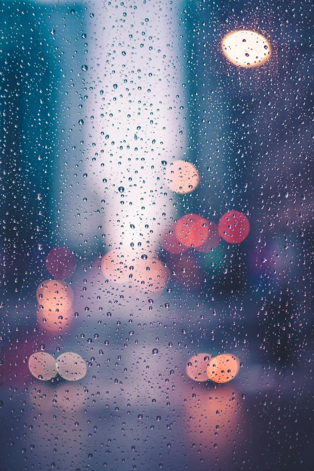 Staying Healthy During Monsoon Season